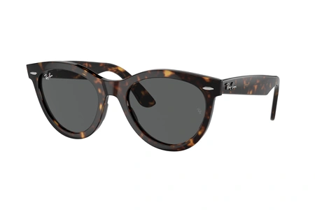 rayban, RB 2241, moterims, stačiakampis, plastmasinis