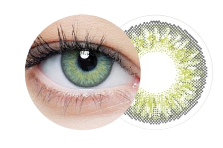 Clear Color 55 (Olive FL312N)