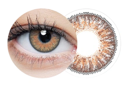 Clear Color 55 (Brown FL306N)